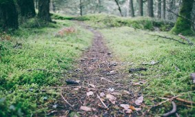 hiking-trail-pixabay Day Trip Tips 1: Head Ware and Headwear
